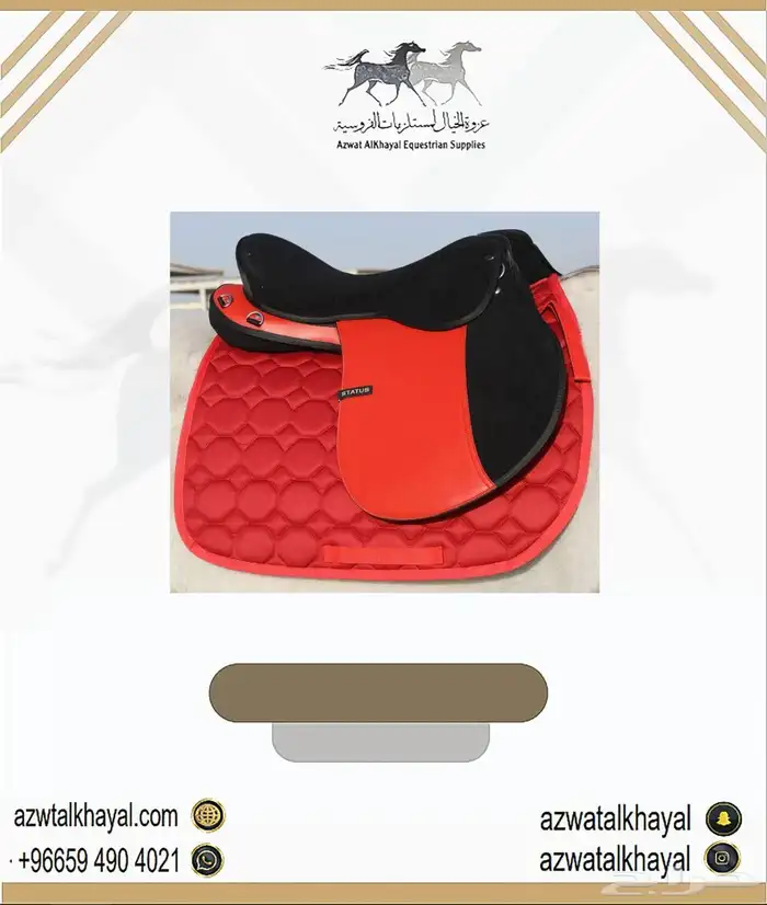 بكج سرج ستيتوس الاصلي يوجد لدينا اقساط 8