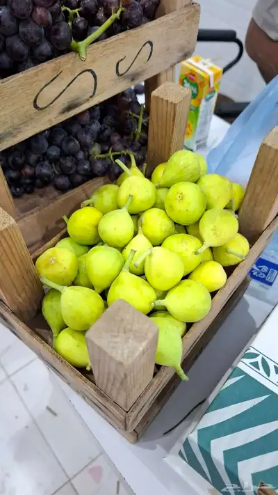 منتجات الأحساء (بصل.ثوم .بامية. ليمون.رطب .تمر مانجو .توت 4