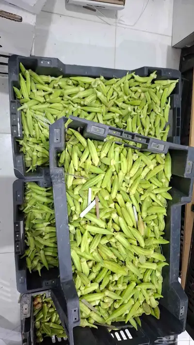 منتجات الأحساء (بصل.ثوم .بامية. ليمون.رطب .تمر مانجو .توت 1