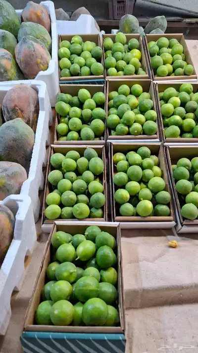 منتجات الأحساء (بصل.ثوم .بامية. ليمون.رطب .تمر مانجو .توت 7
