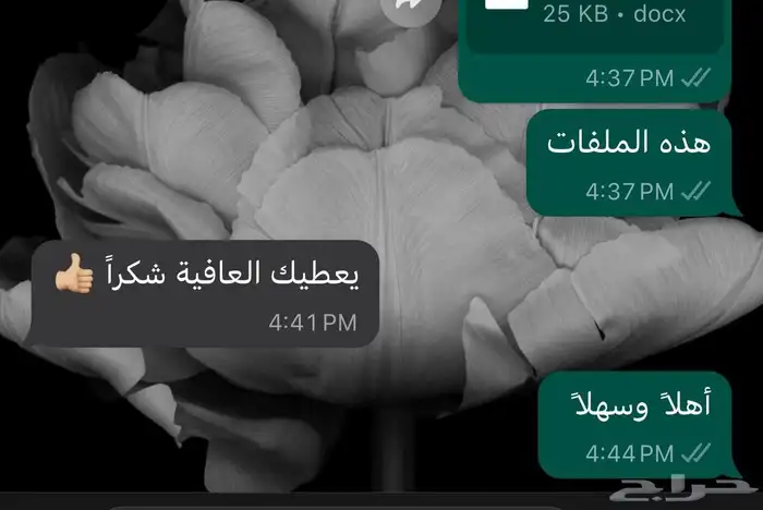 ترجمة معتمدة 4