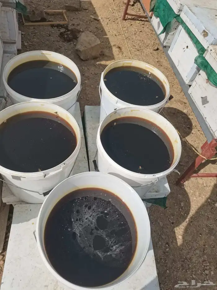 لدينا عسل طلح وعسل سمره رقم واحد علا الشرط عسل جوده 0