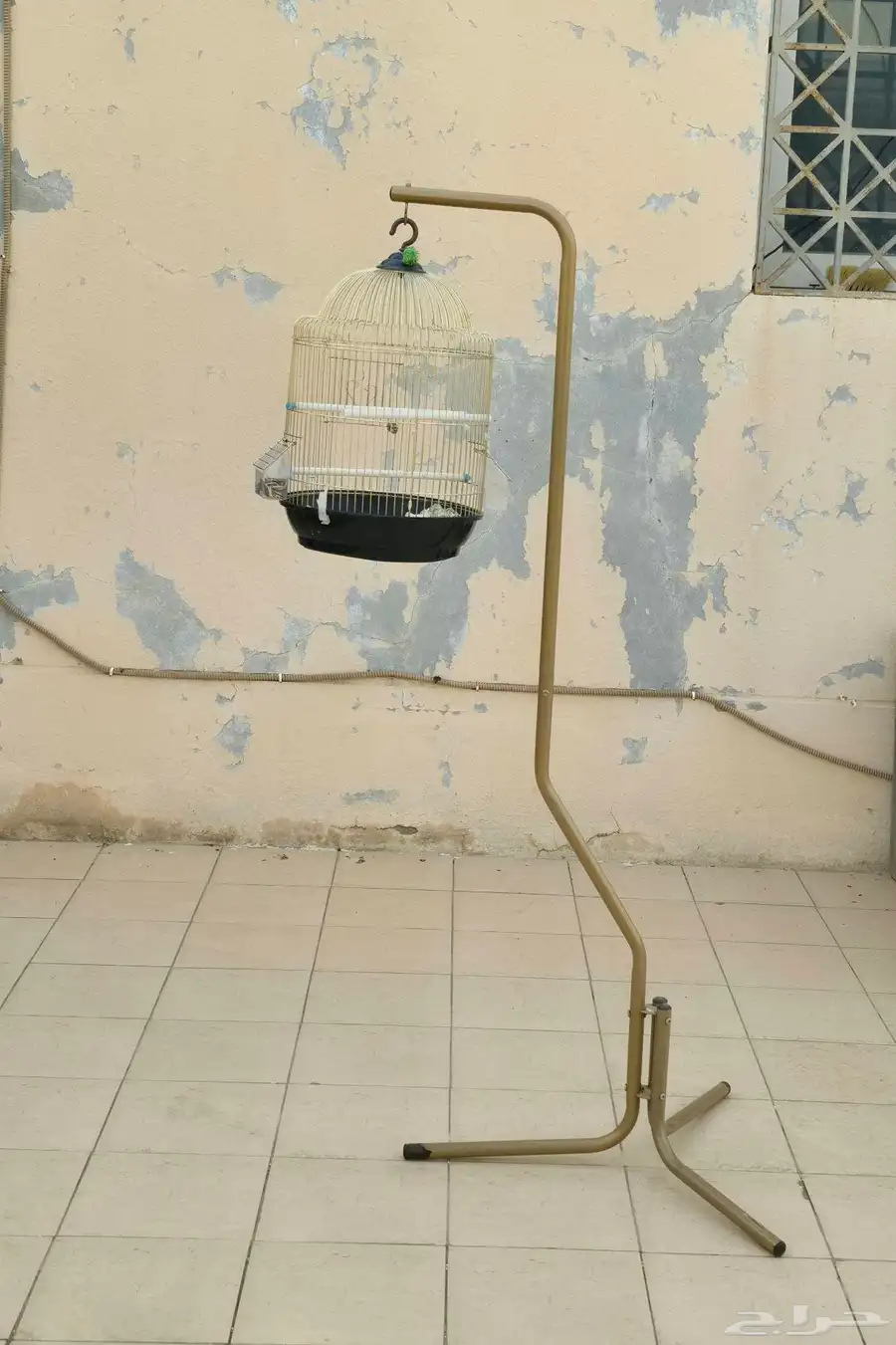 العارضة 1