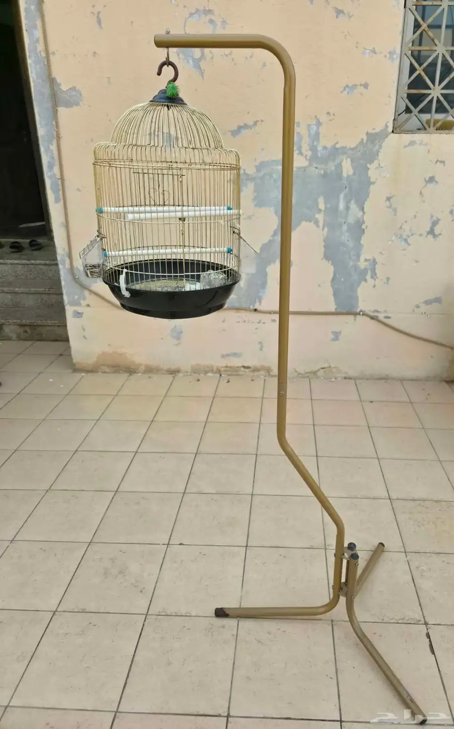 العارضة 0