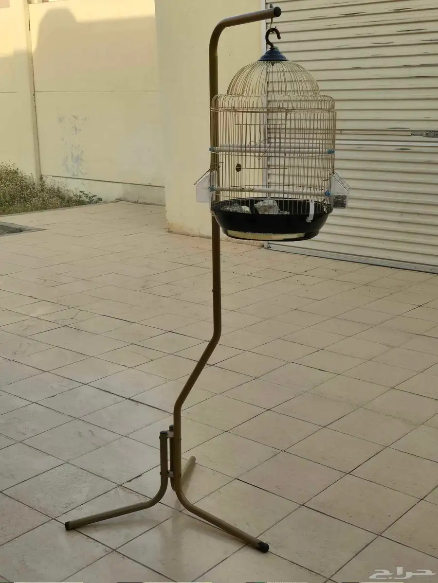 العارضة 2