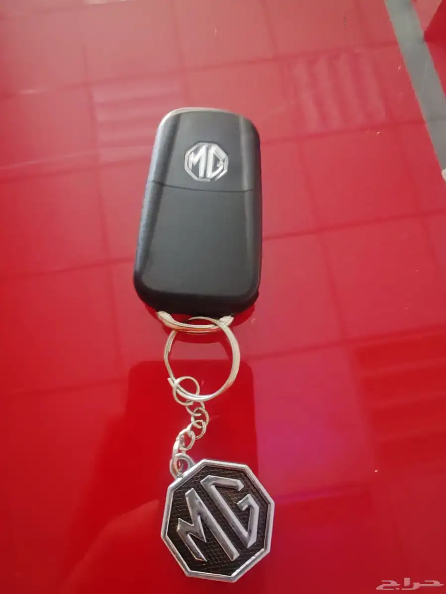 Mg2018 3