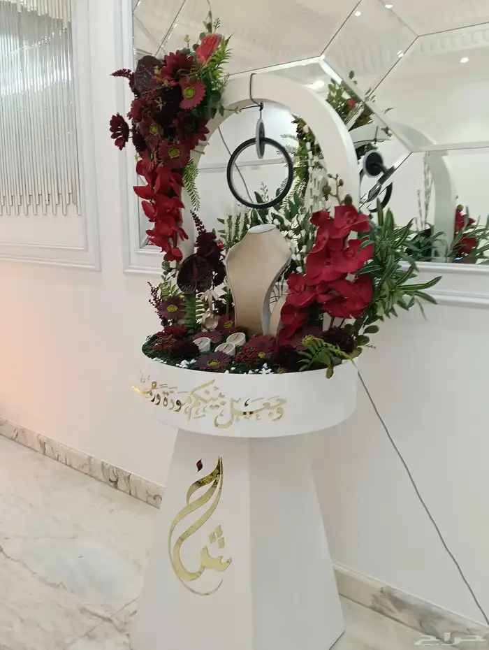 كوش افرح 6