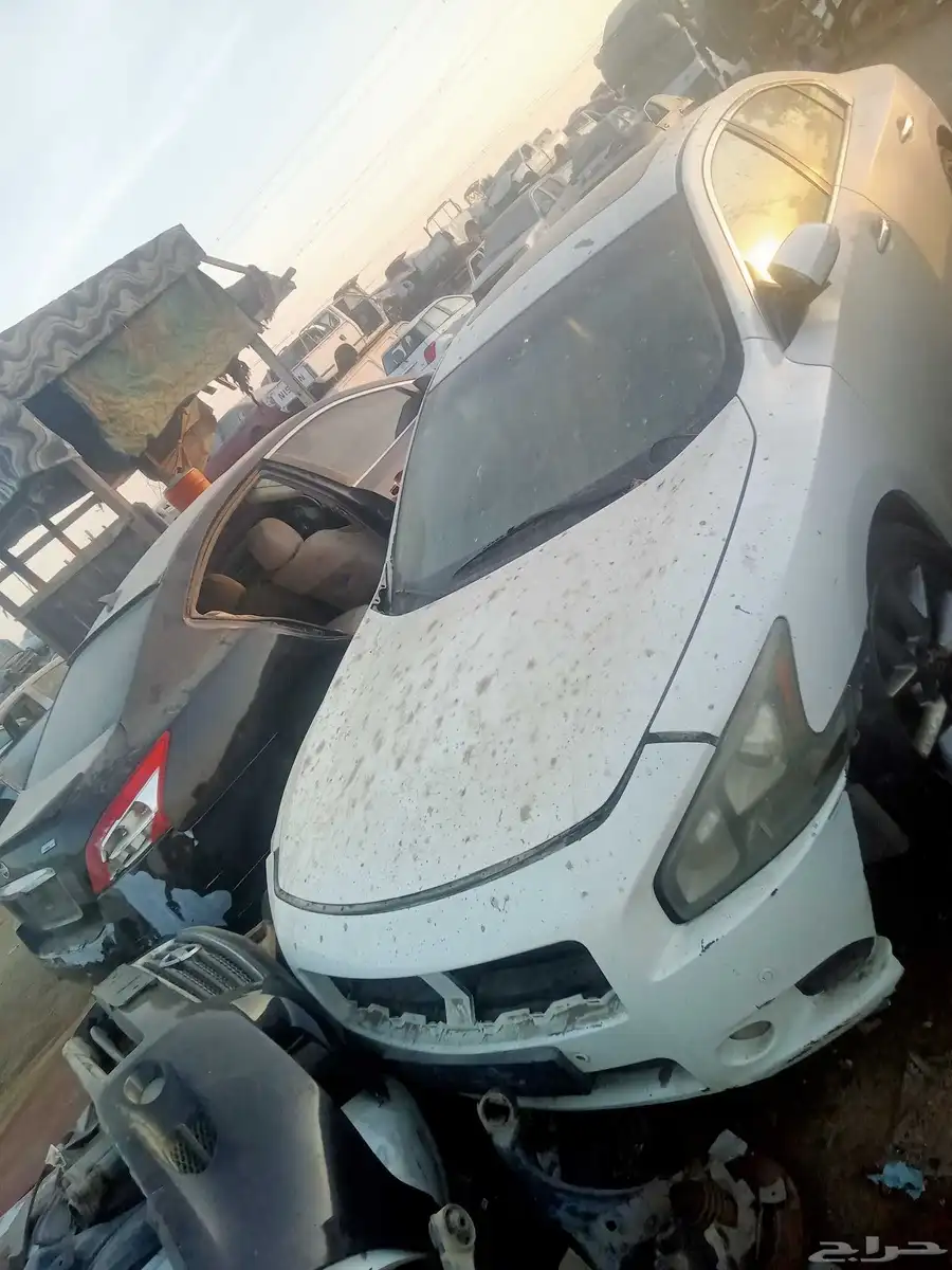 جدة الحمدانية 0