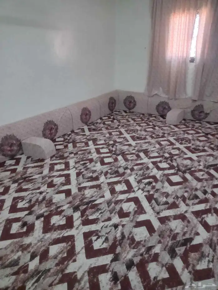 اثاث مستعمل 0