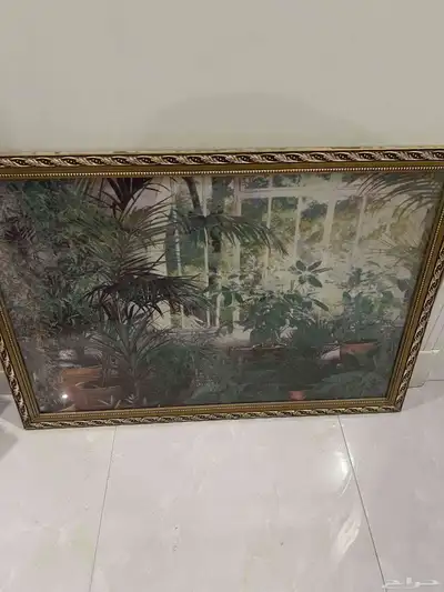 جديده 1