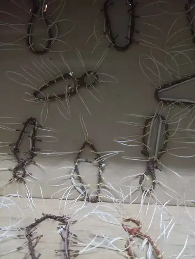 شبك لطرح الصقور 3