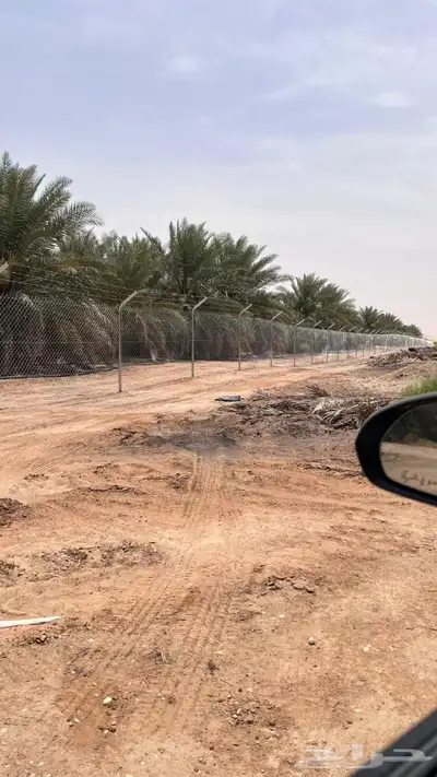 تركيب شبوك مزارع الشرقية 1