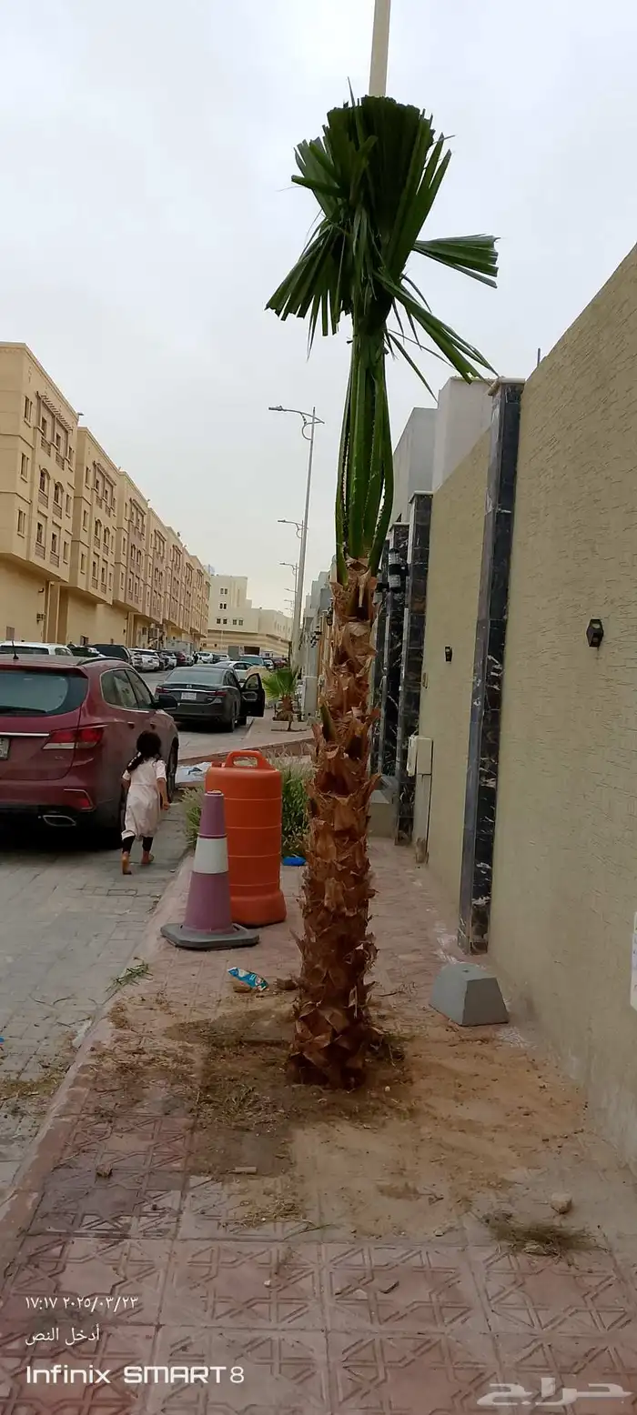 نقوم بصيانه انخل تنضيف وتكريب 5