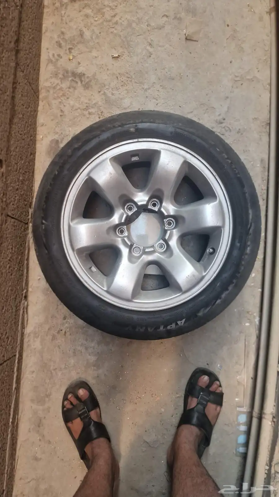 جنوط سفاري وكاله المقاس 16 0