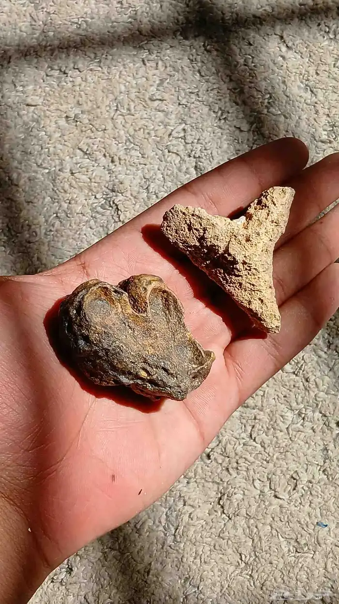 صخور وأحجار على الحبة على50 فقط 19