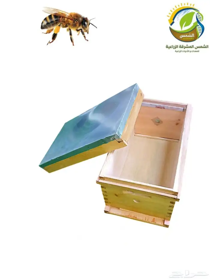 خلية نحل فرنجي بدون براويز مقاسات متعددة 2