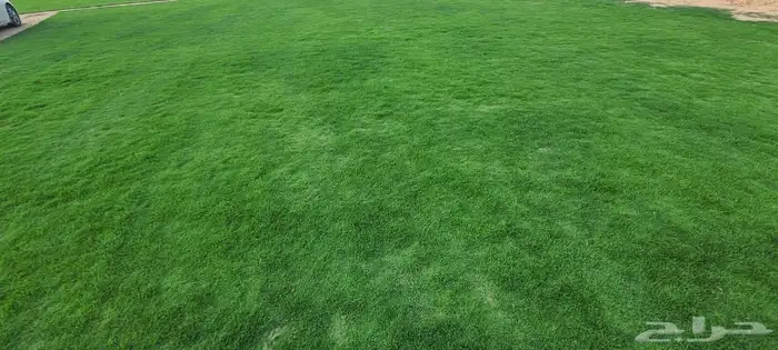 ثيل طبيعي سي2000درجه اولى 2