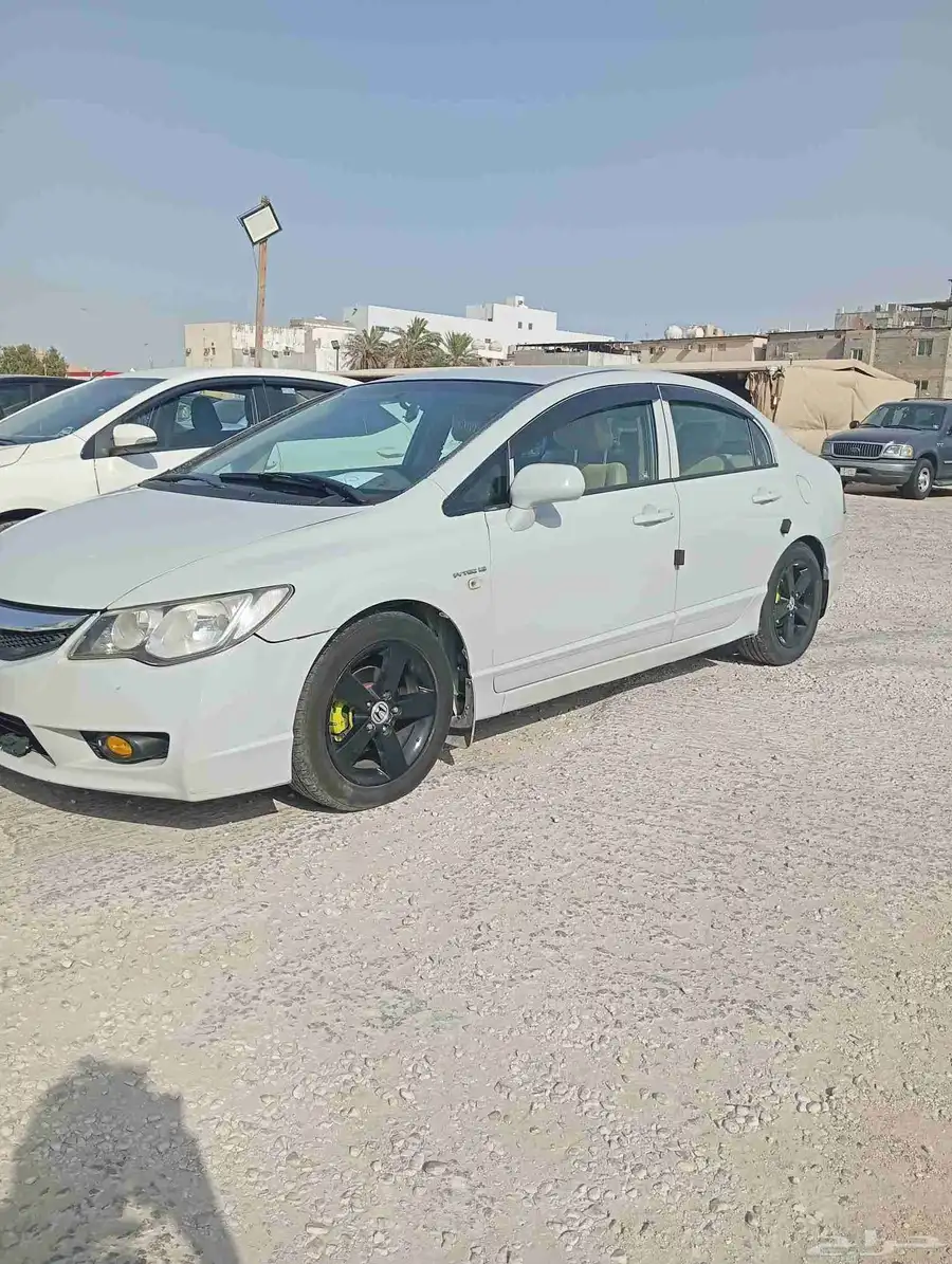 القطيف 0