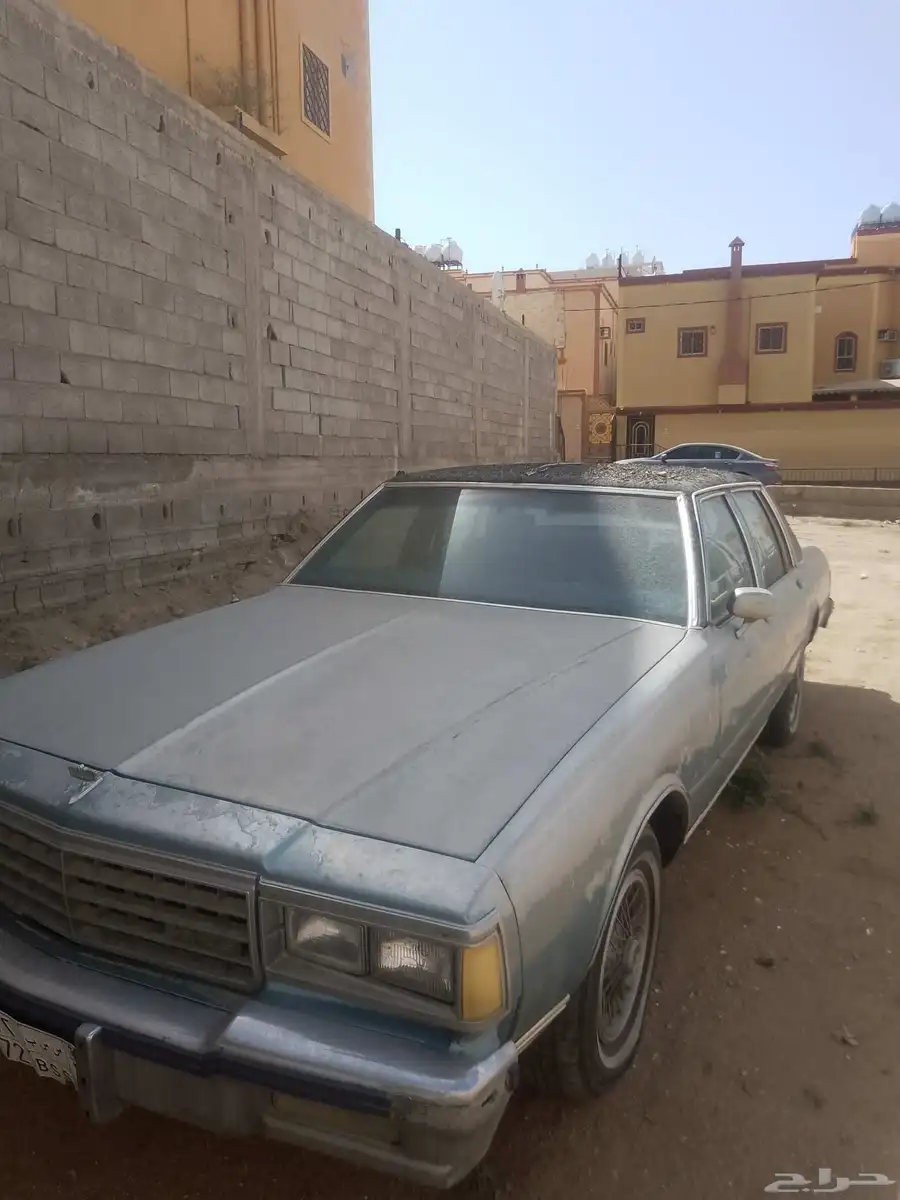كابرس 1982 للبيع 0