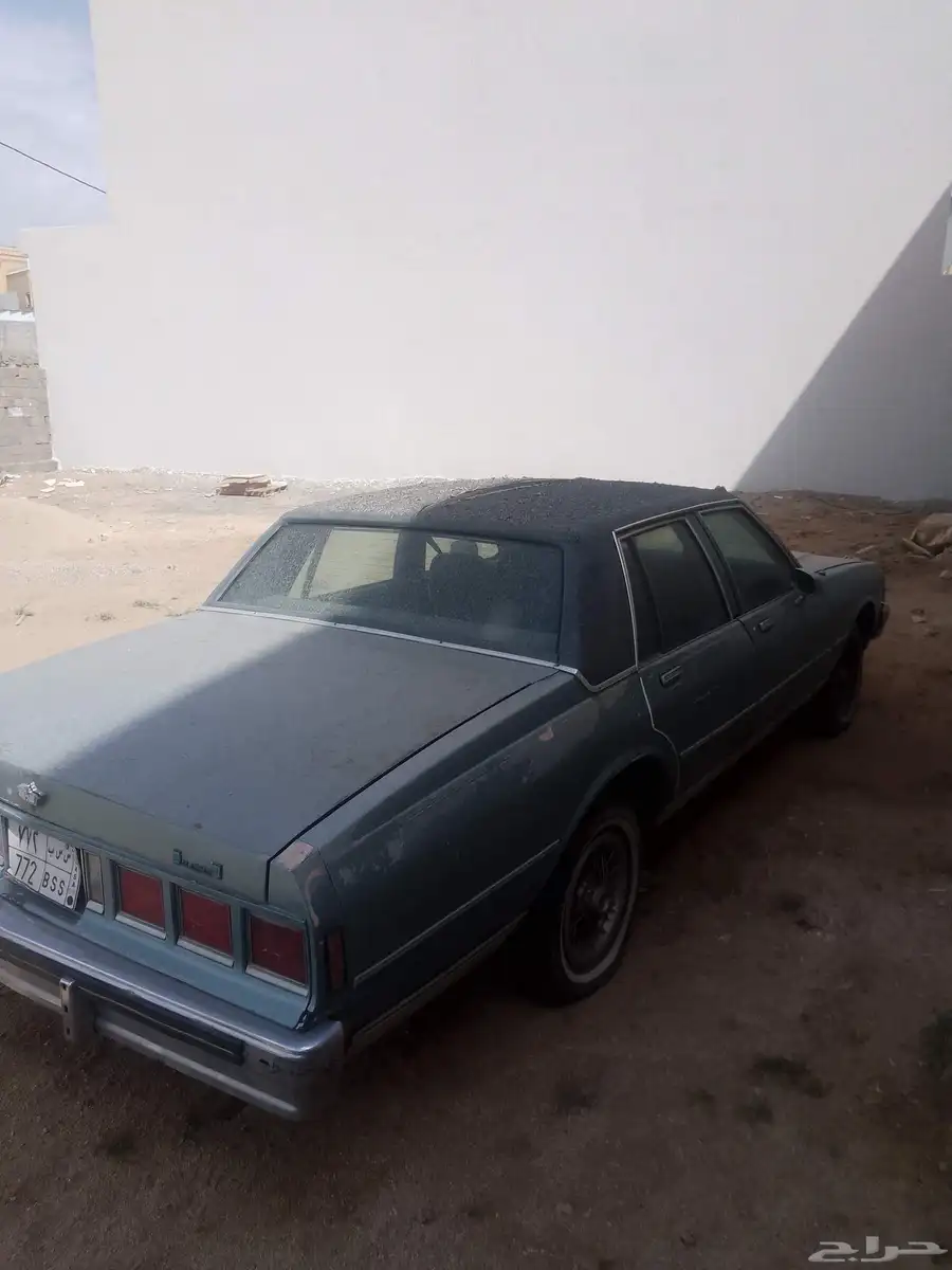 كابرس 1982 للبيع 6