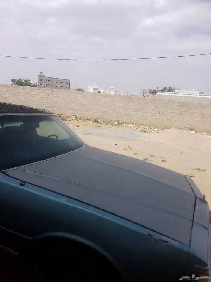 كابرس 1982 للبيع 3