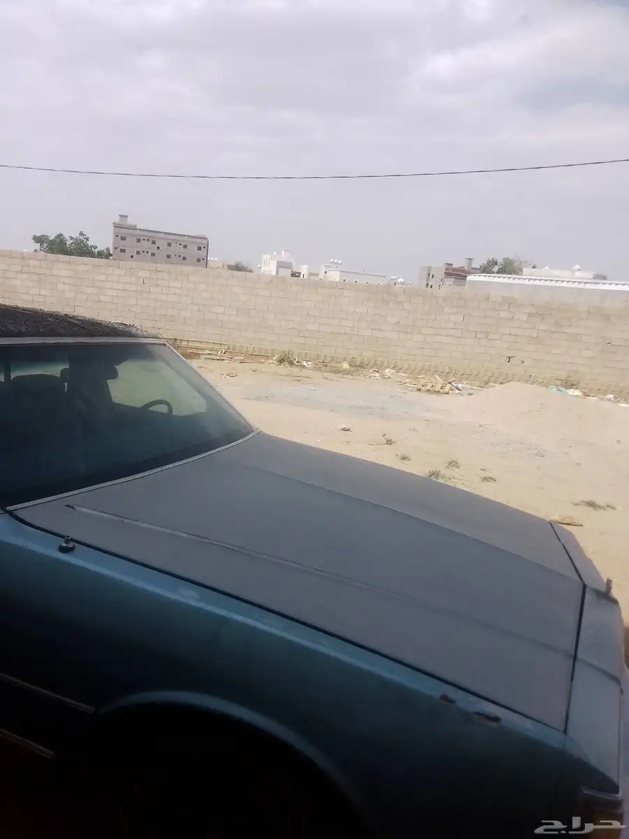 كابرس 1982 للبيع 3