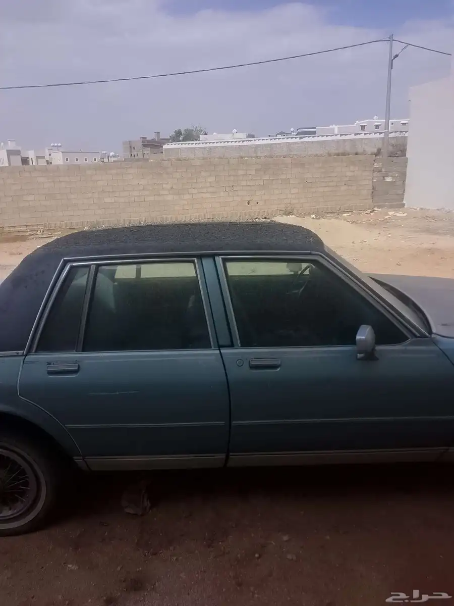 كابرس 1982 للبيع 4