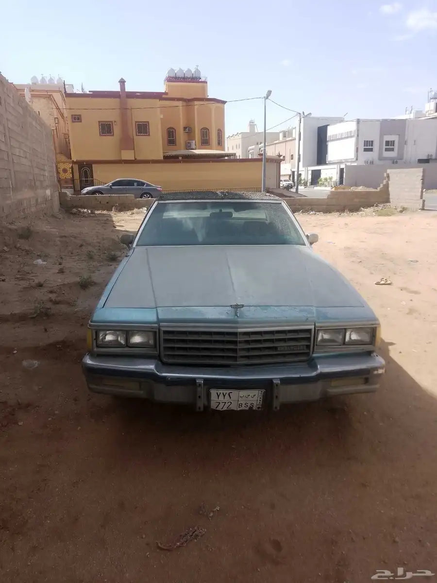 كابرس 1982 للبيع 1