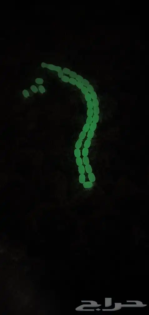 سبحه للبيع 1