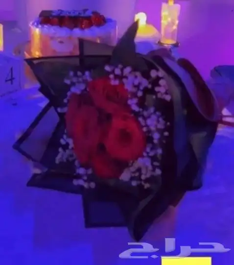 رحلات وحفلات بحريه 2