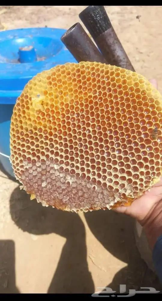 يوجد عسل طلحه رقم واحد 1
