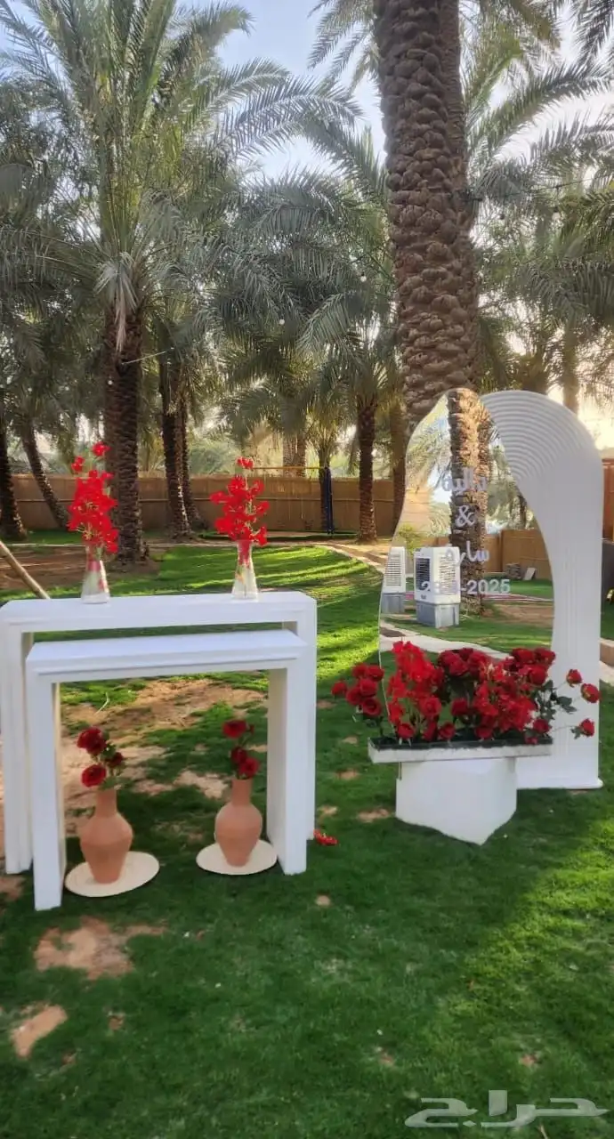 حفلات زواج 12