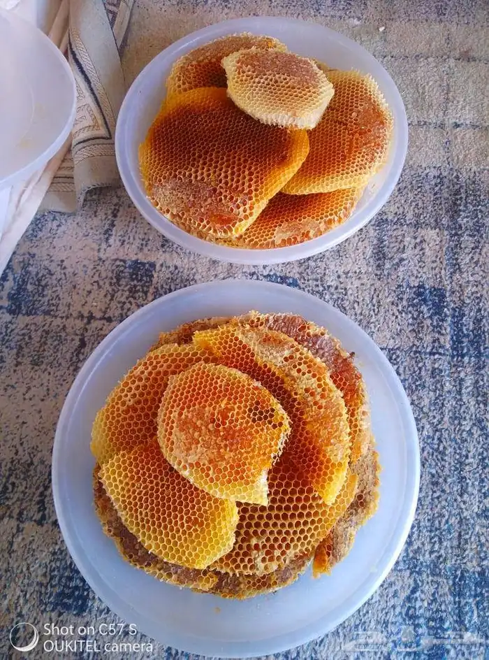 يوجد عسل طلحه رقم واحد 3