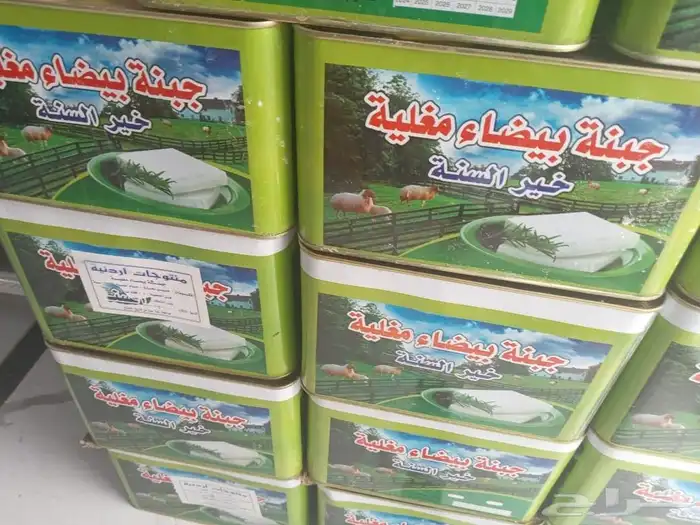 جبنه عرب مقليه 9