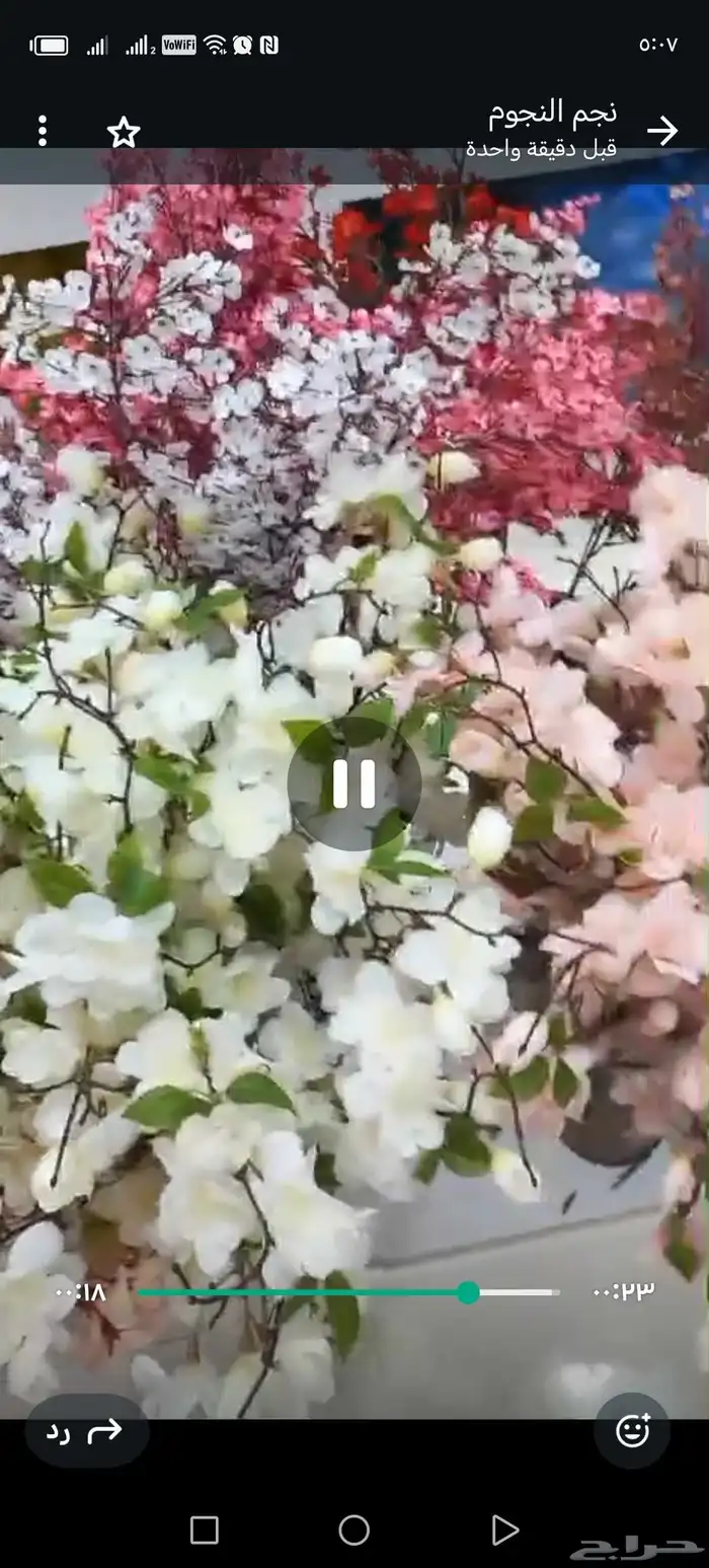 طقوم استقبال جاهزه 2