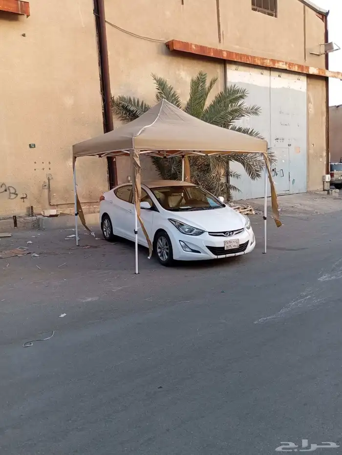 جميع انواع المضلات 8