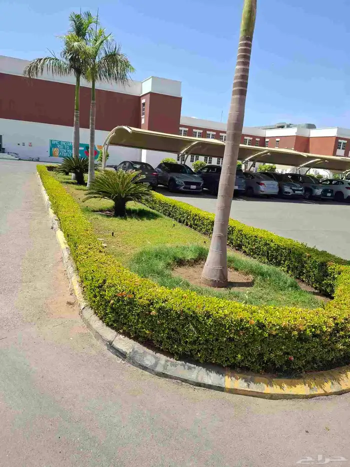 زراعه وترتيب الحدائق 8