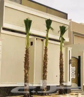 بديل الخشب الخارجي وتركيب الثيل 9