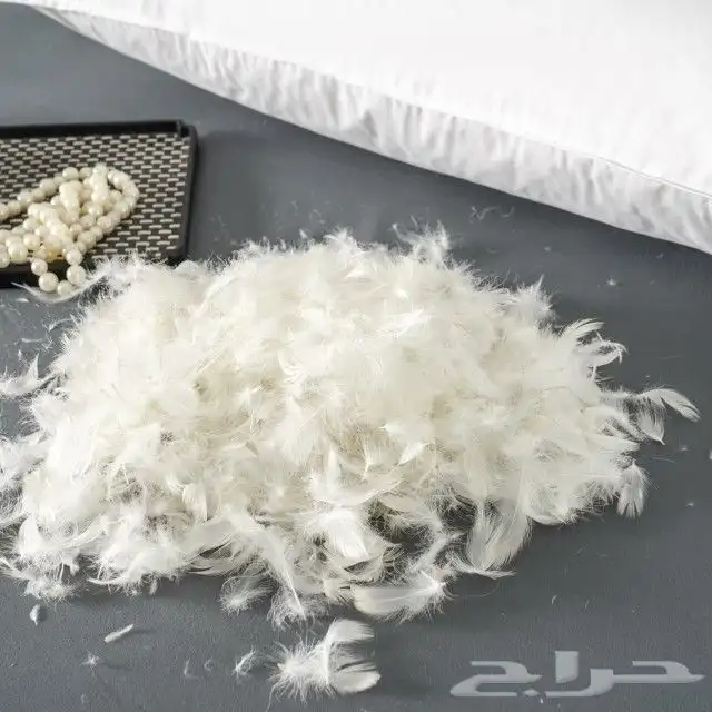 عرض على مخده ريش بط 0