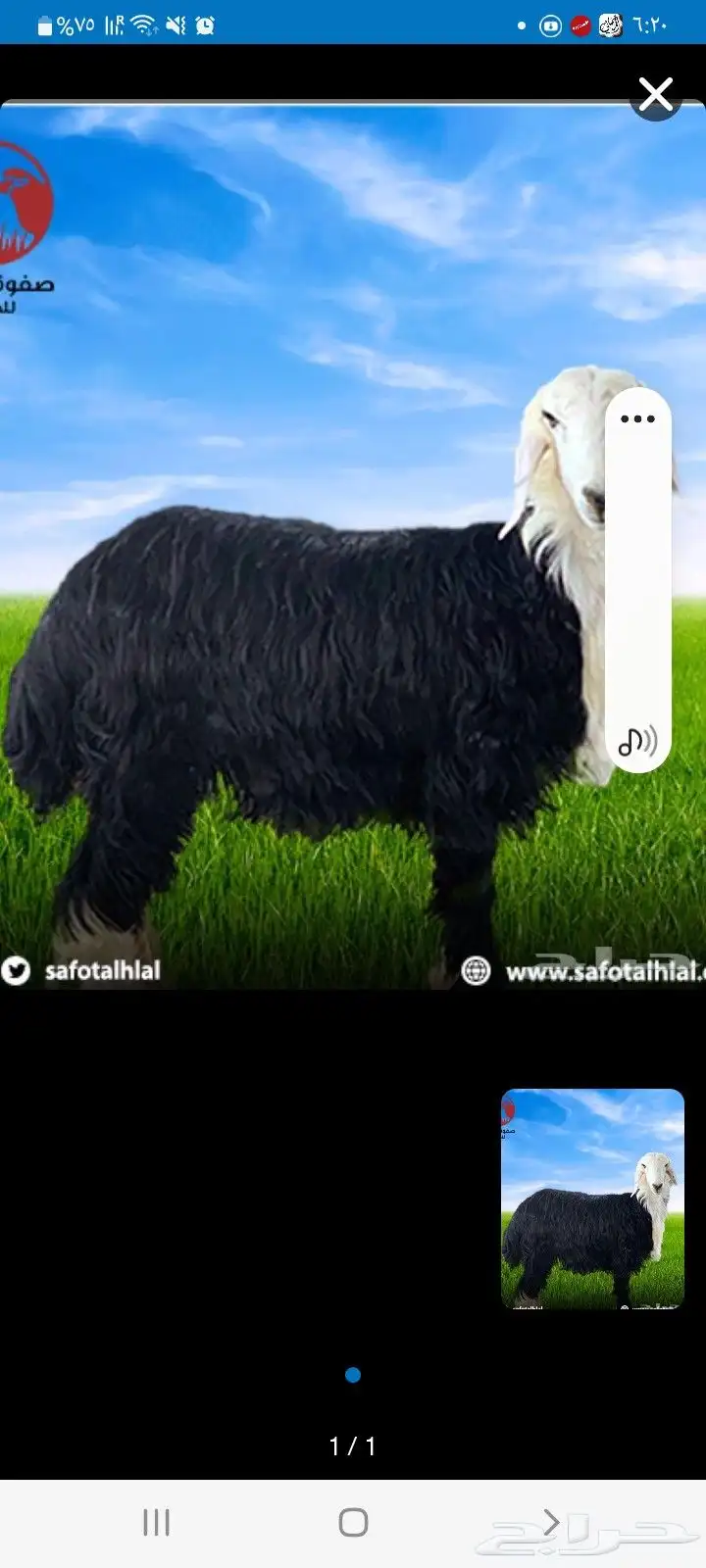 وادي الدواسر 0
