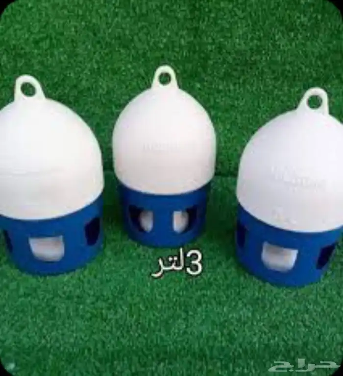 سيرلك للجميع انواع الفروخ 19