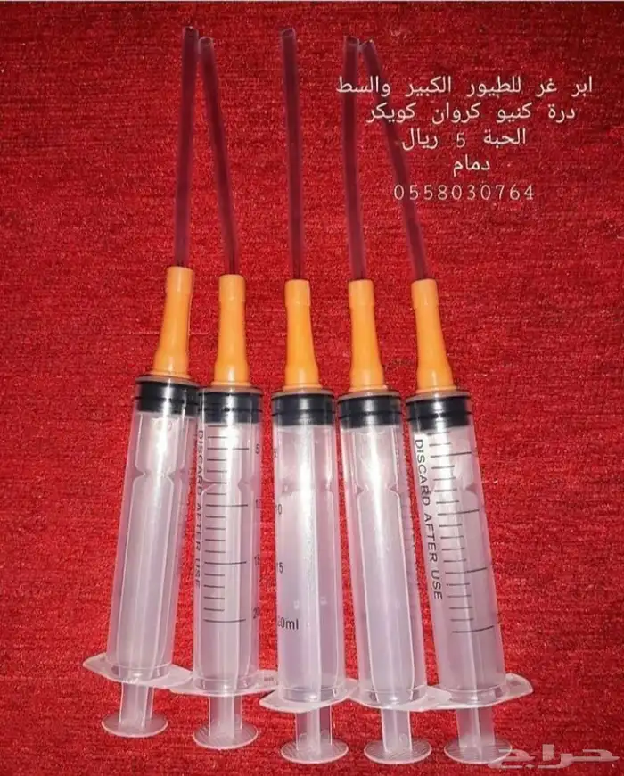 سيرلك للجميع انواع الفروخ 3