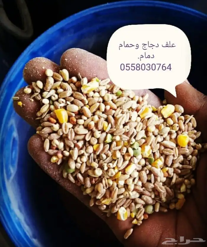 سيرلك للجميع انواع الفروخ 9