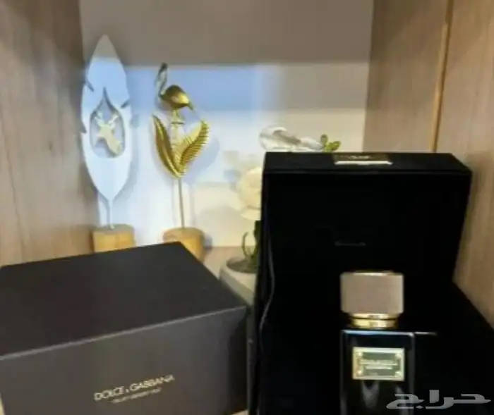 عطور دولتشي اند غابانا ماستر كواليتي 5