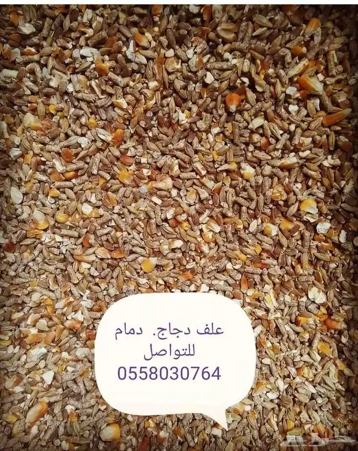 سيرلك للجميع انواع الفروخ 6