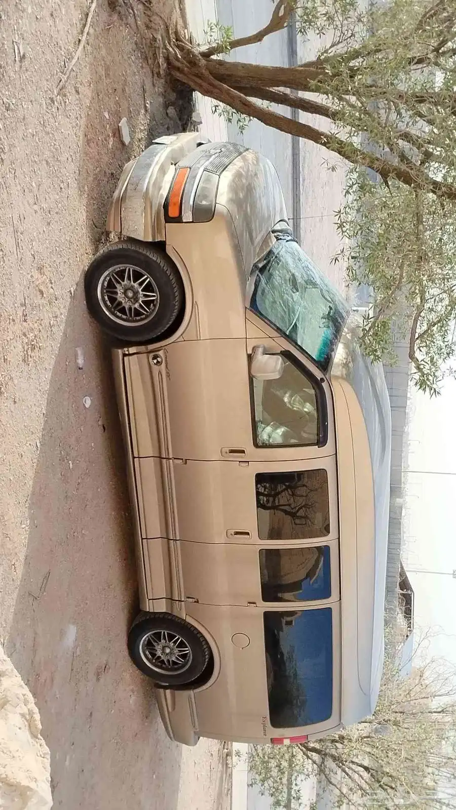 فان شفرولية2007 13