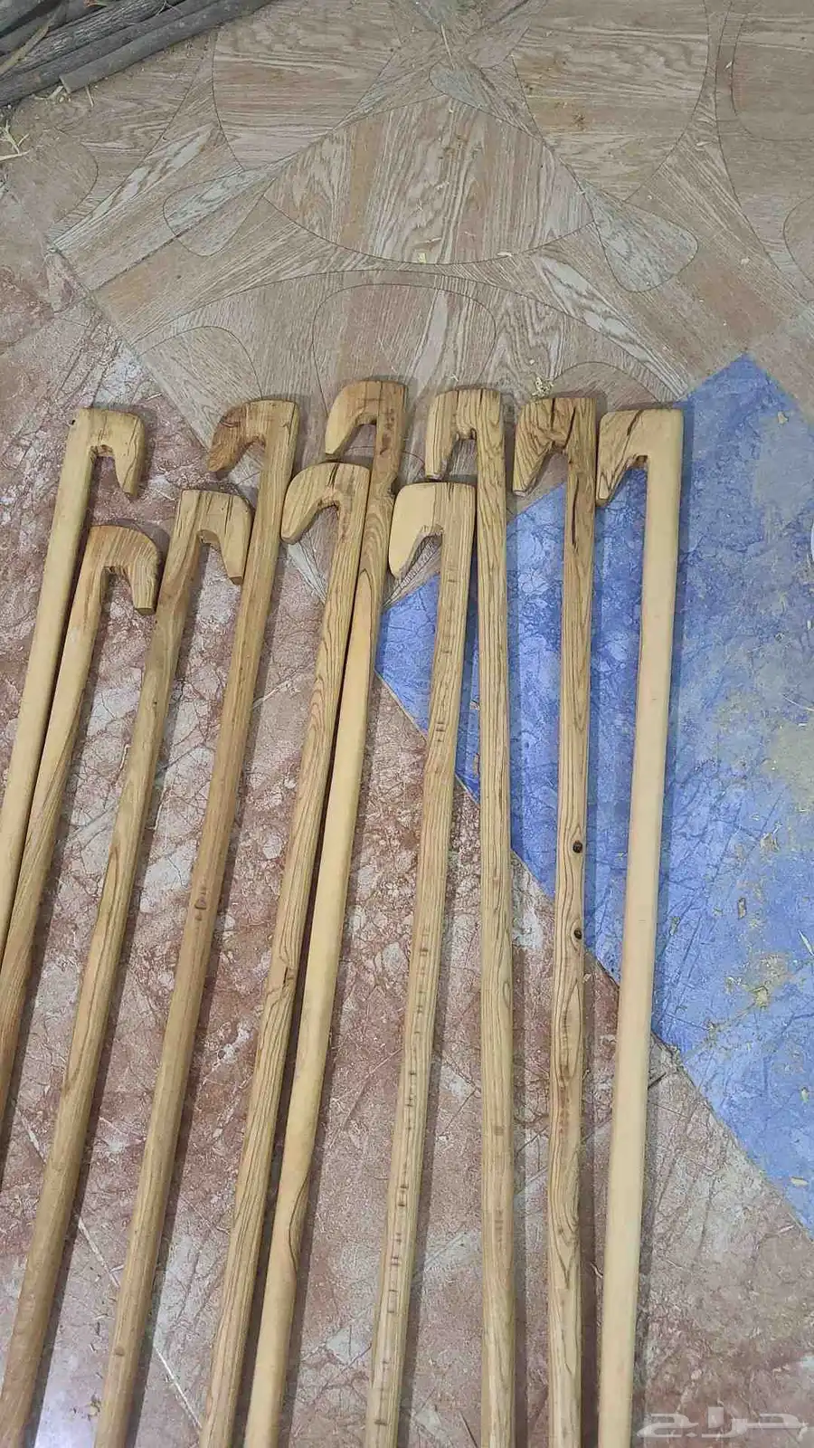 مشاغب نشم و عتم 2