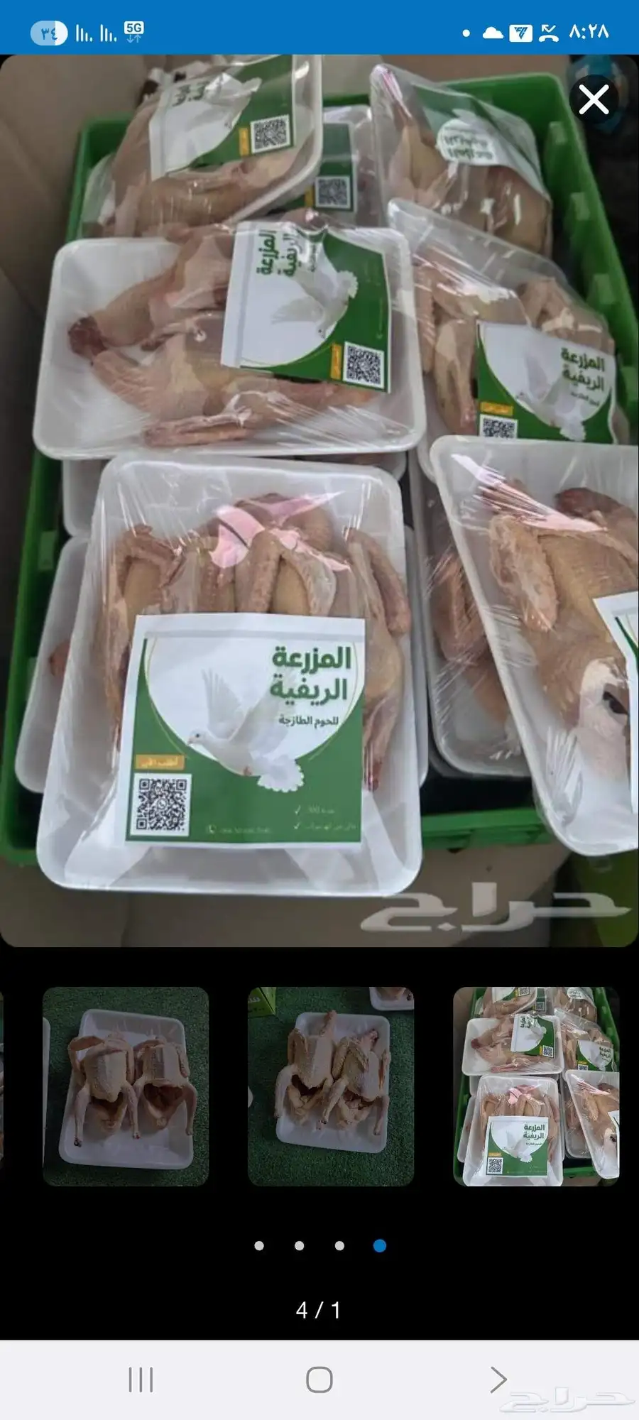 زغاليل حمام فرنسي للبيع بالمشاعلة 1
