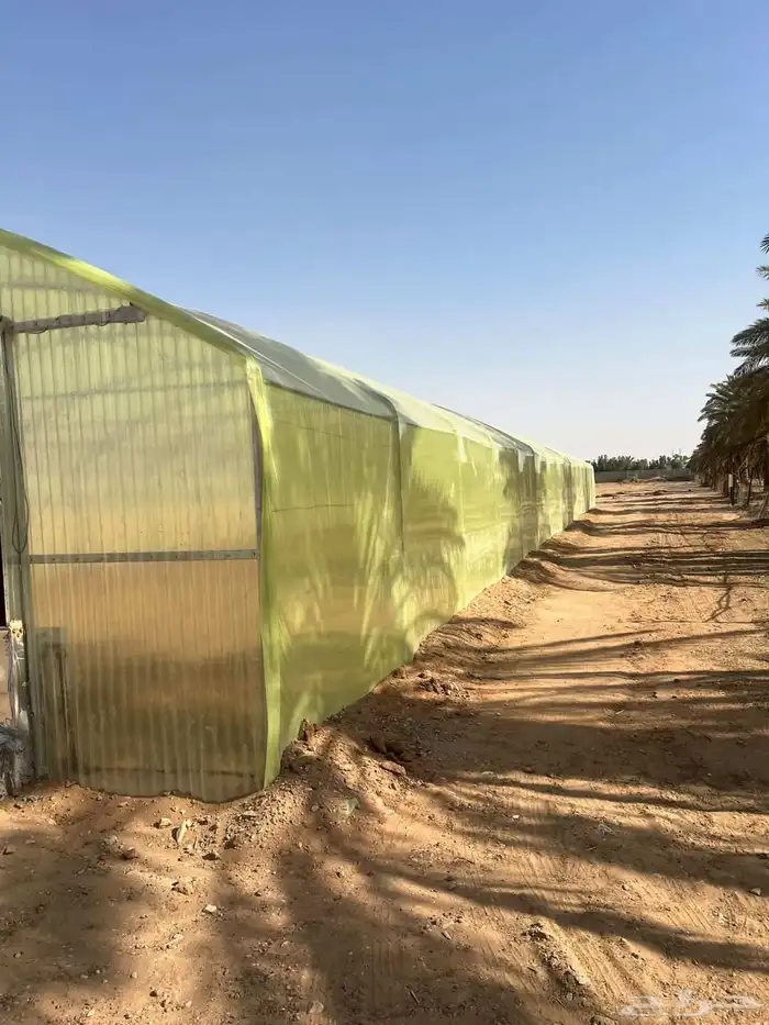 بيوت محمية بيوت محميه صالات 19