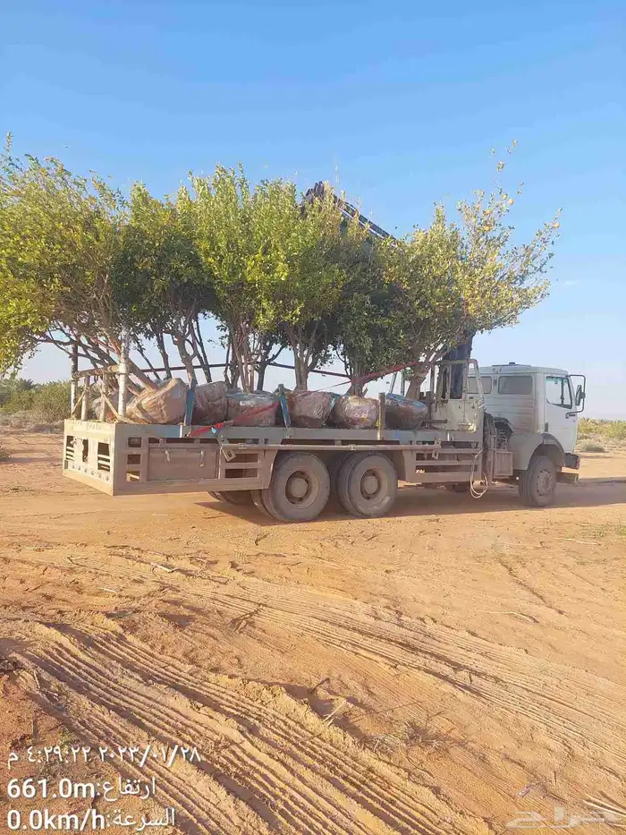 سطحة ونش كرين 2